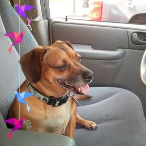 Meet your Posher, Tina